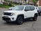 2021 Jeep Renegade 80th Anniversary 4X4